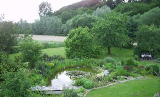 Der Gartenteich am Abend gegen 22.00 Uhr