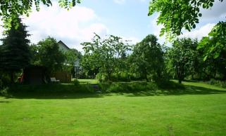 Der Park
